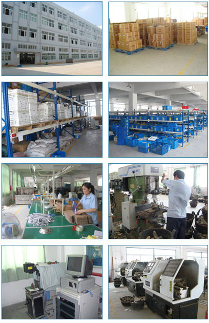 Sanliv Plant Capacity