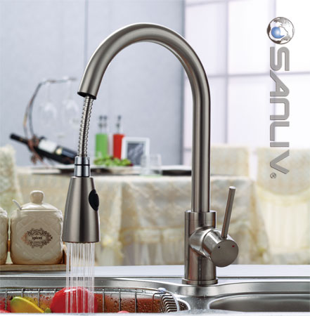 Sanliv Pullout Spray Kitchen Sink Faucet 28108 